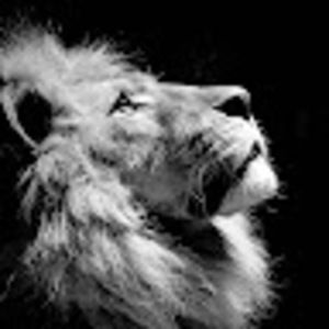 Meet your Posher, Garrett